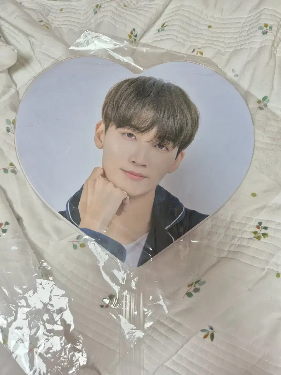 2020 Caratland jeonghan image picket