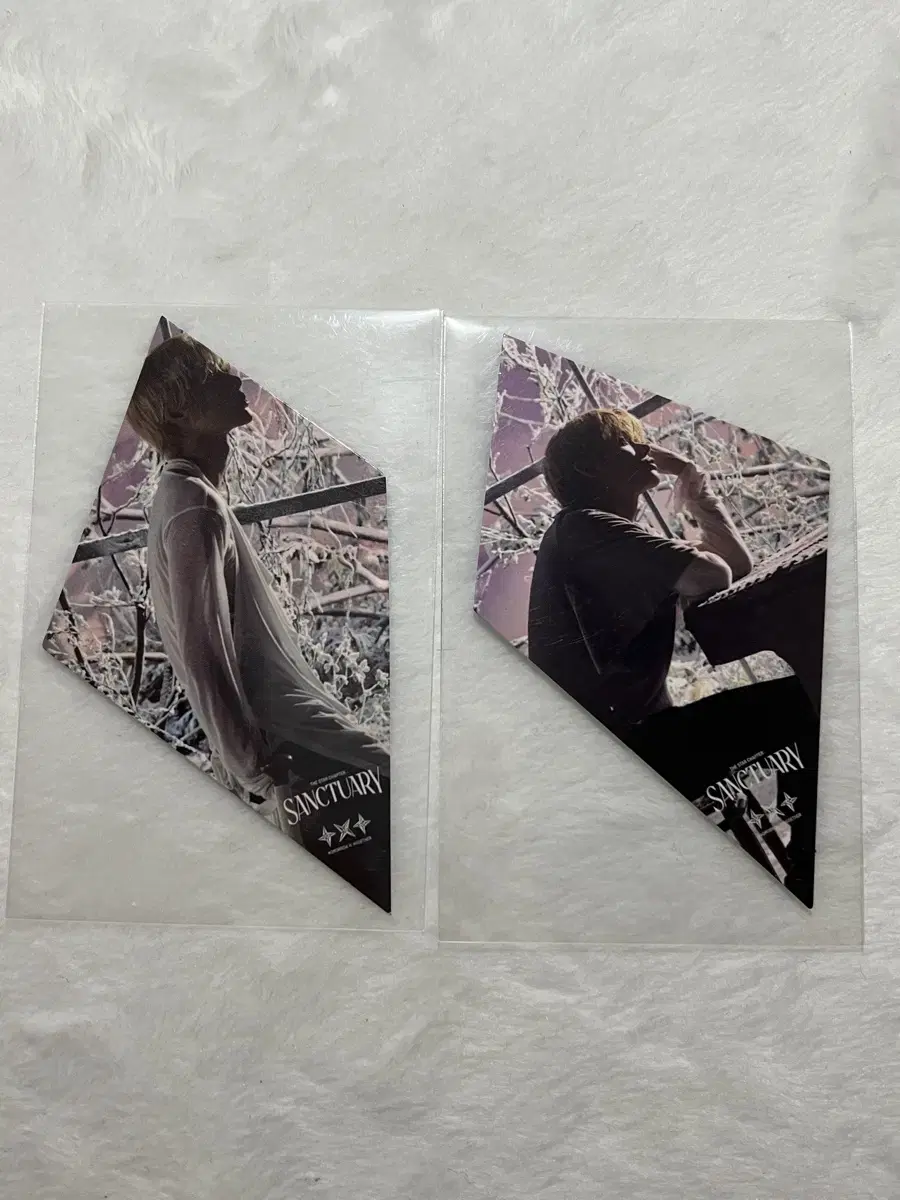 Sanctuary Savory Slices beomgyu yeonjun WTS