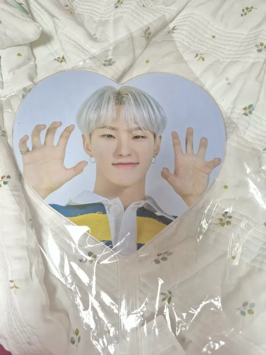 2020 Caratland hoshi image picket