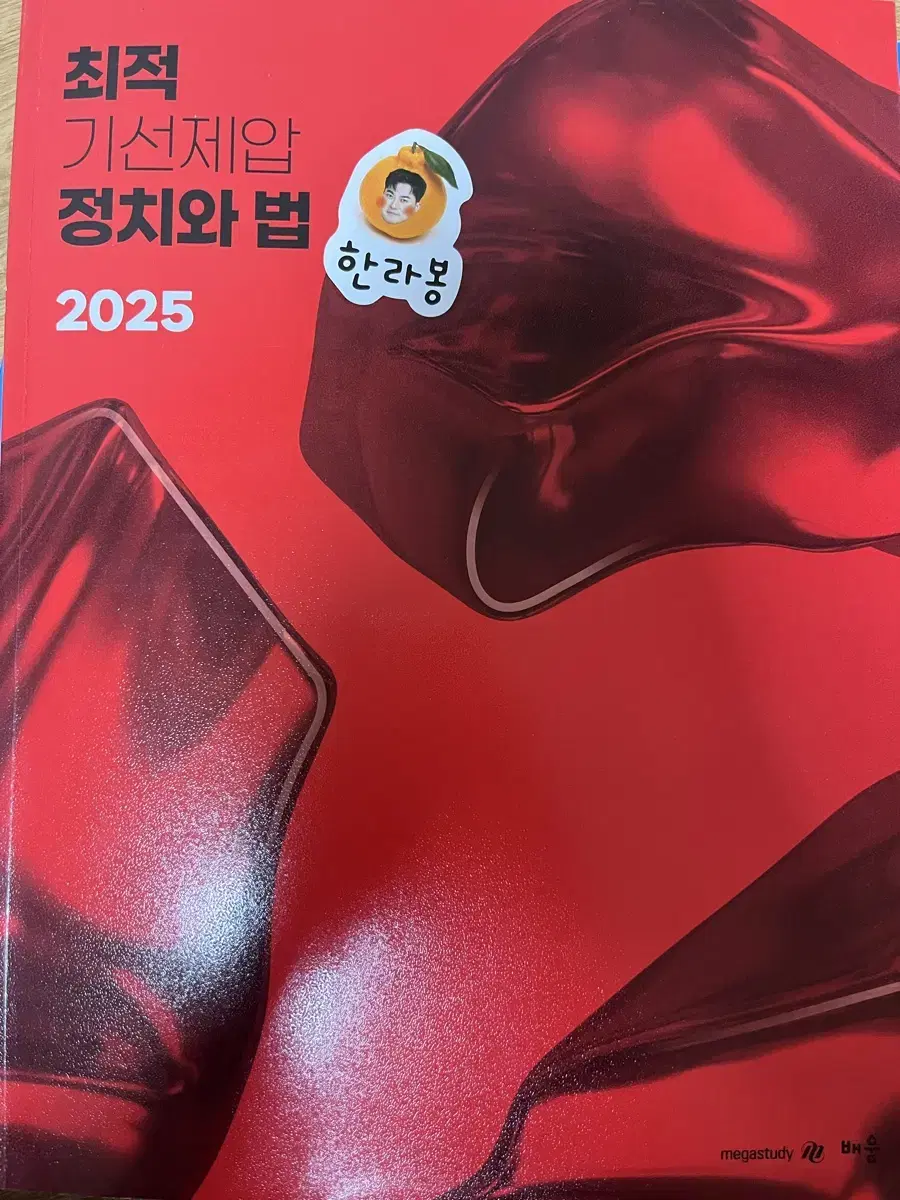 기선제압 정치와 법 2025