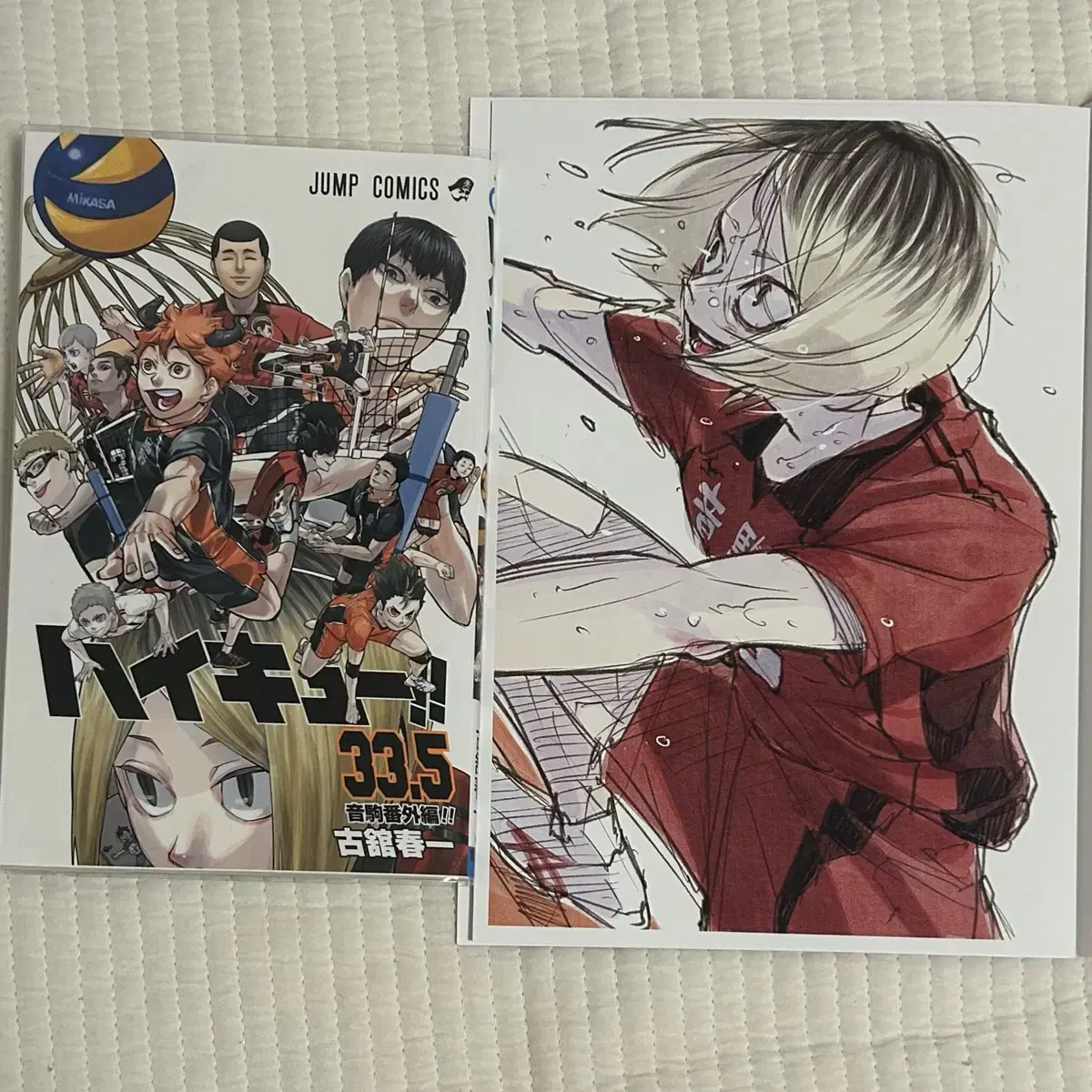 Haikyuu 33.5 Vol. 1 Visual Board Bulk