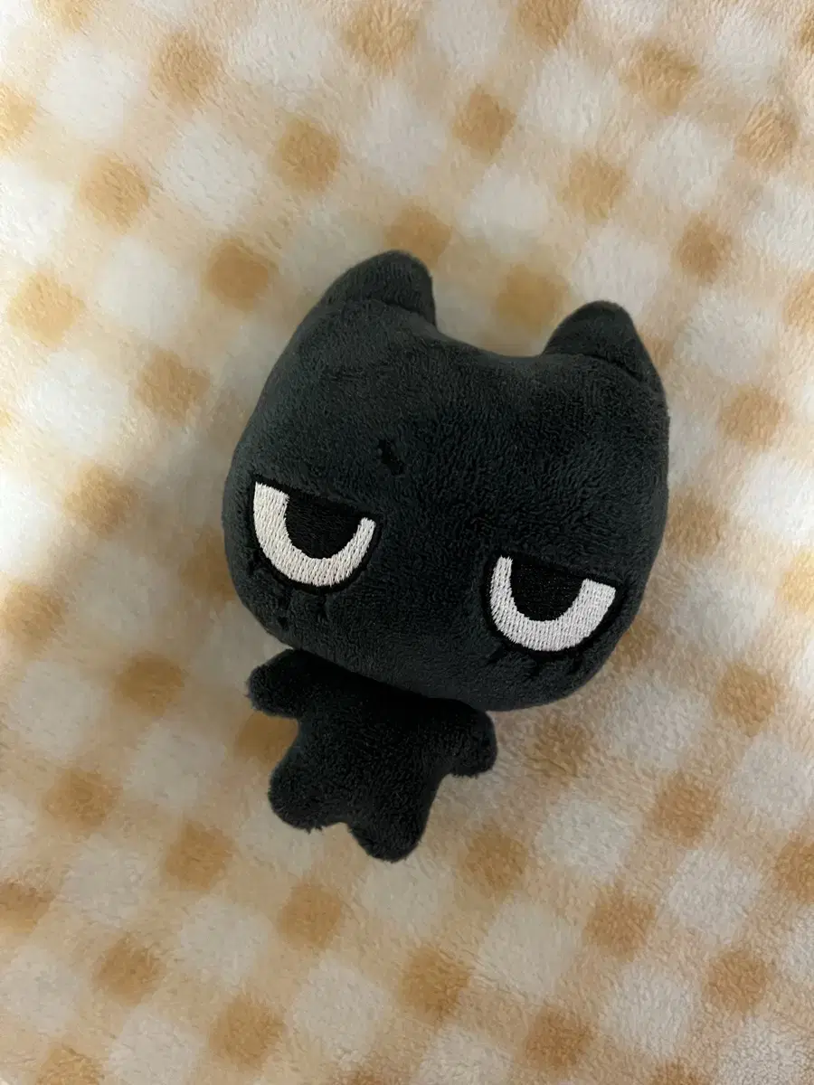 Tanyako 1st 10 cm wts