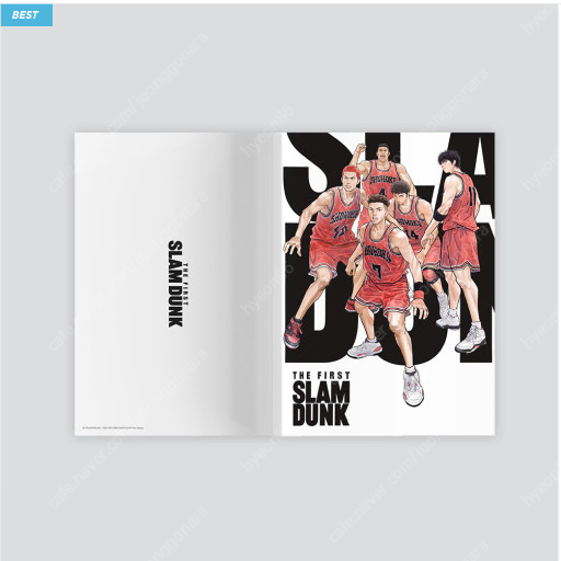 slam dunk brochure for sale