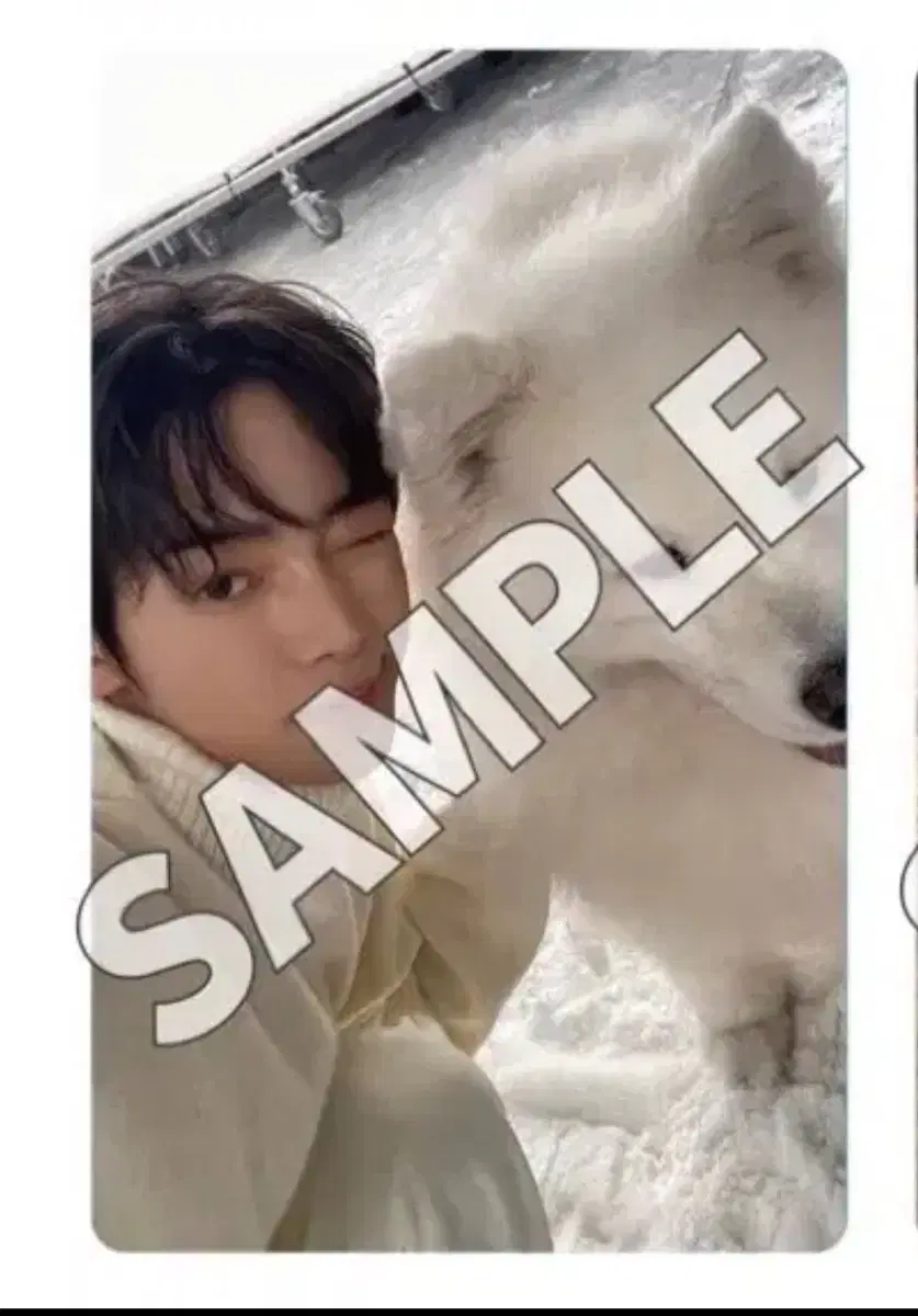 TWS Last Belle weverse japan unreleased photocard pre-order benefit Jin Han buncheol WTS