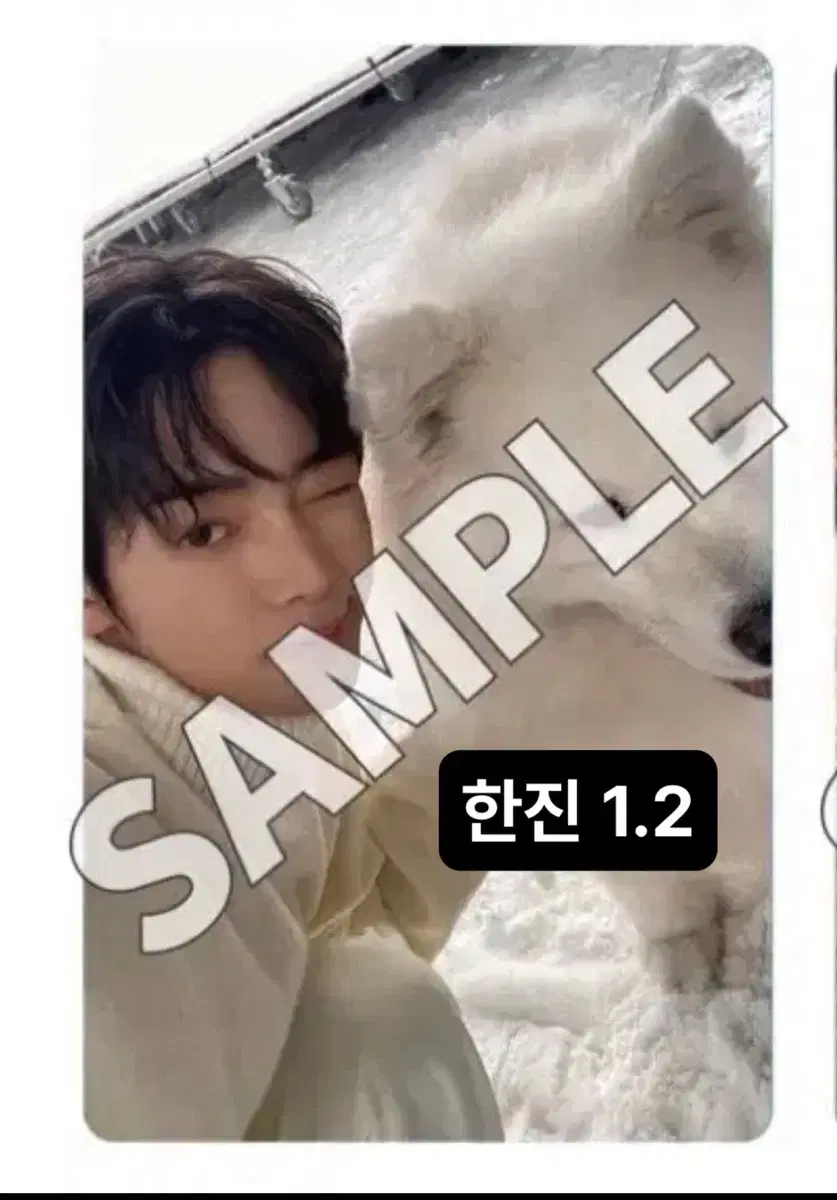 TWS Last Belle weverse japan unreleased photocard pre-order benefit Jin Han buncheol WTS