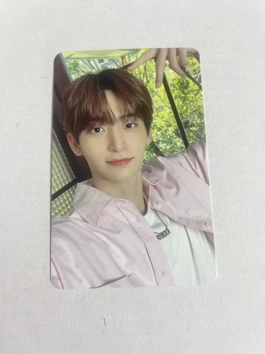 Cravity 2024 season's greetings All Members photocard Bulk