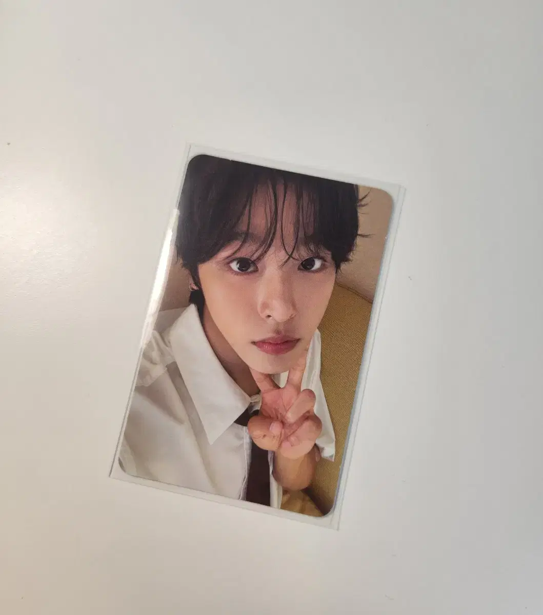 Wish Steady keyring riku Photocard