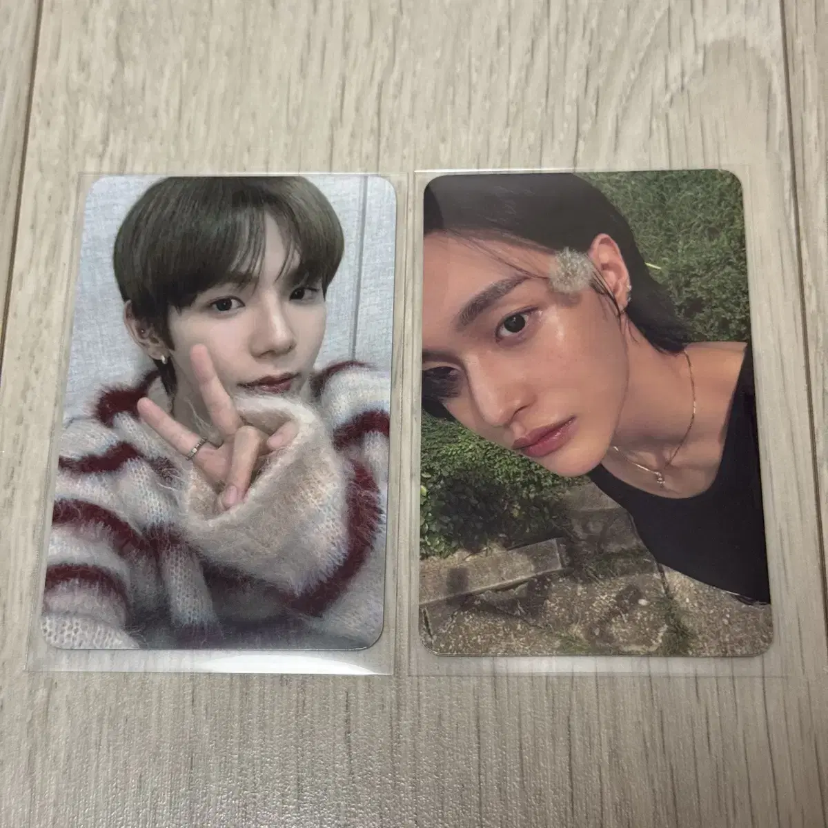 Rize everline shotaro photocard Dandelion wonbin photocard (Check out videos, photos, and articles)