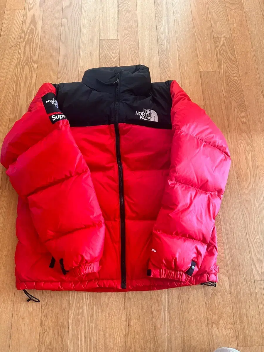 The Supreme North Face 24FW