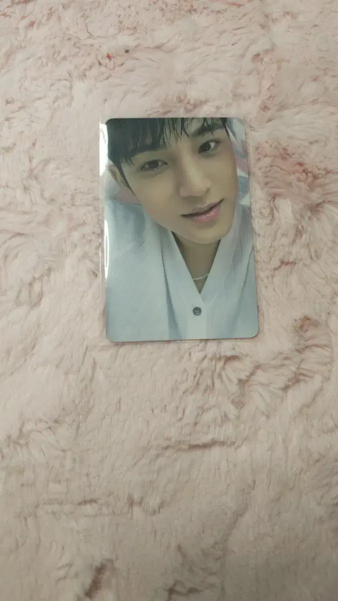 Quick sale so cheap)seventeen with muu ld mingyu wts