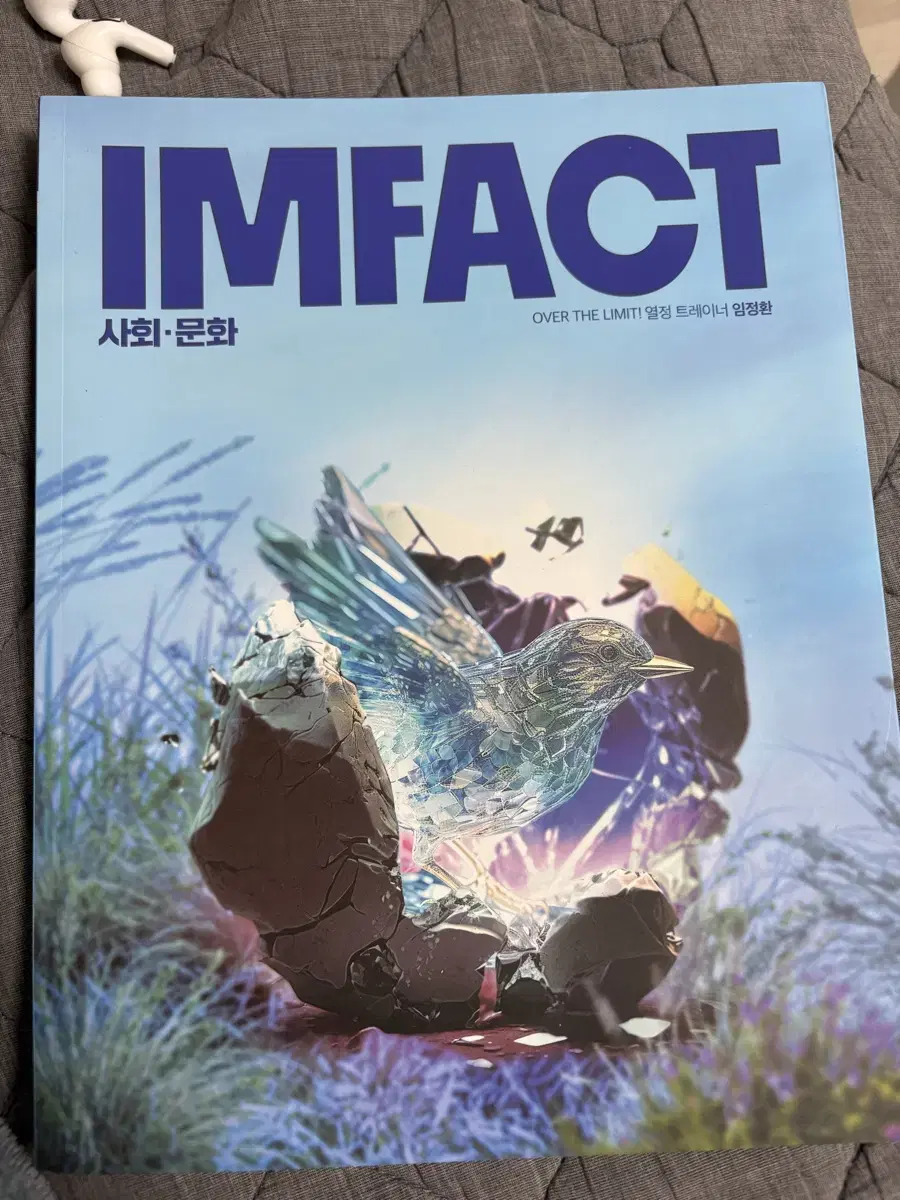 임정환 임팩트 IMFACT 사회문화 사문