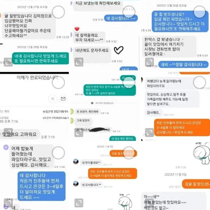 농약 없는 노지감귤 10키로 15000원