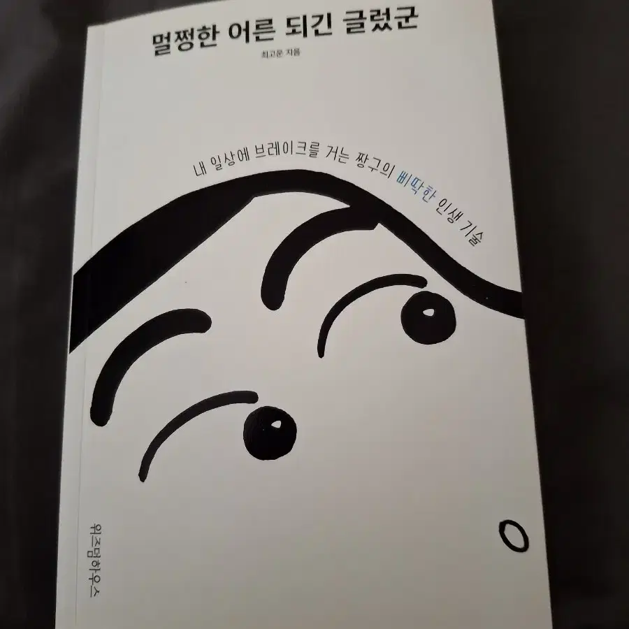 멀쩡한 어른 되긴 글렀군