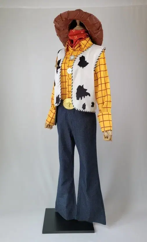 Toy Story Woody Clothes