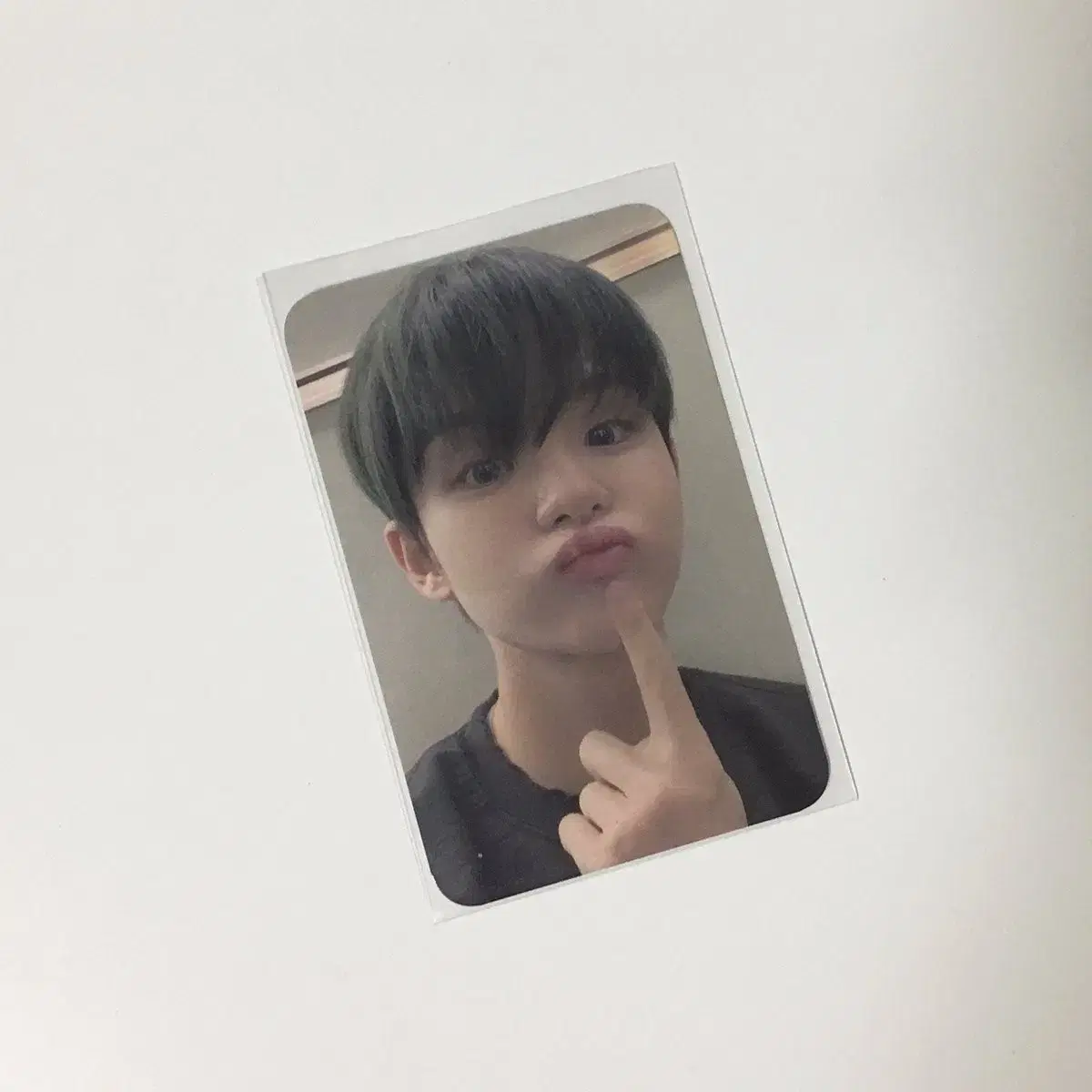 Treasure jihoon park jihoon Shibuya pop up photocard Trekin