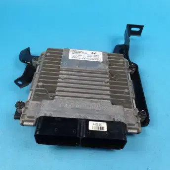 현대 그랜져 HG ECU 모듈 39101-2G910/39111-2G910