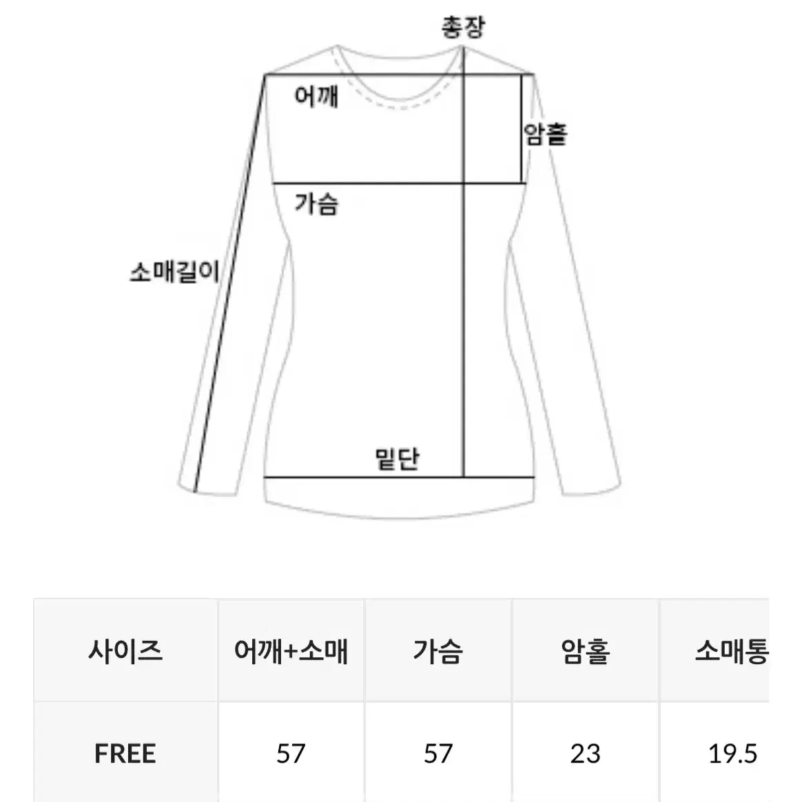 데일리쥬 오프숄더