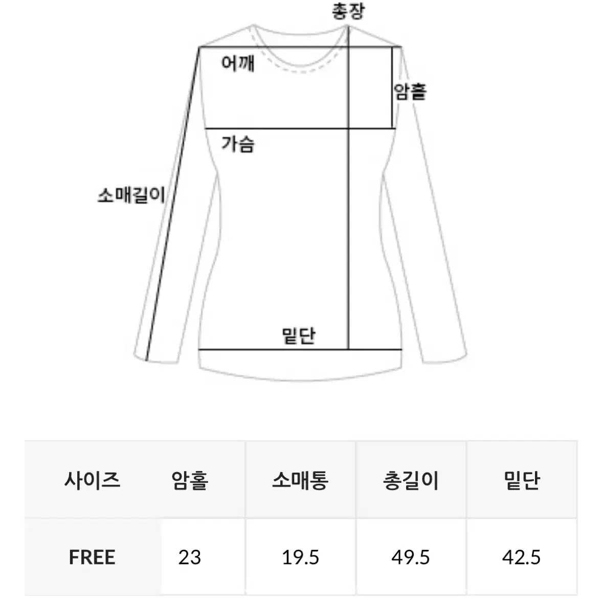 데일리쥬 오프숄더