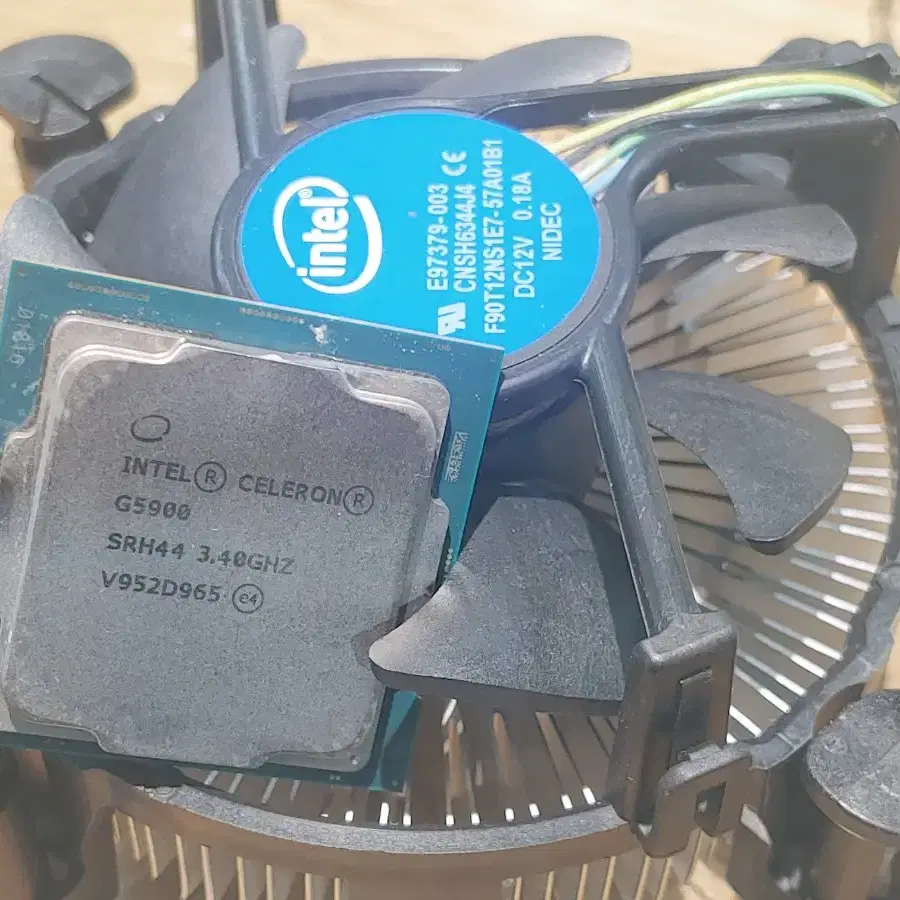 intel G5900