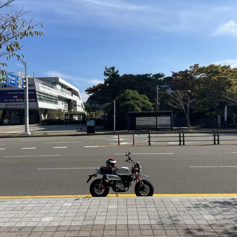 (급처) 부산 몽키125 24년식 신차급 판매