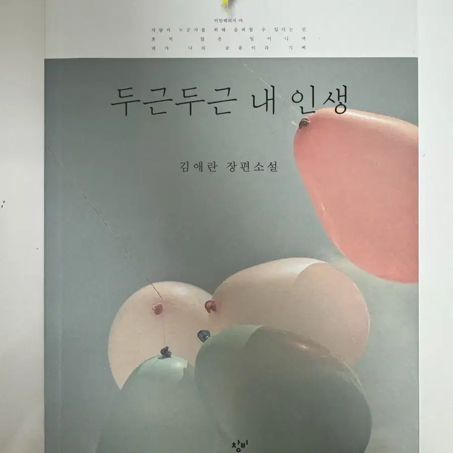 두근두근 내 인생 (김애란)