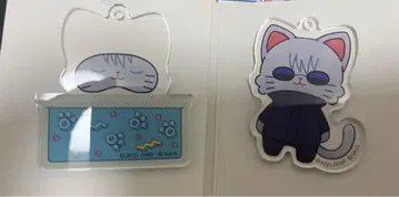 주술회전0 withCAT 안녕히 주무세요 아크릴 키링 고죠 사토루