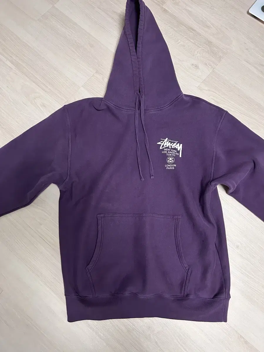 Stussy Waldutour Hoodie (M)