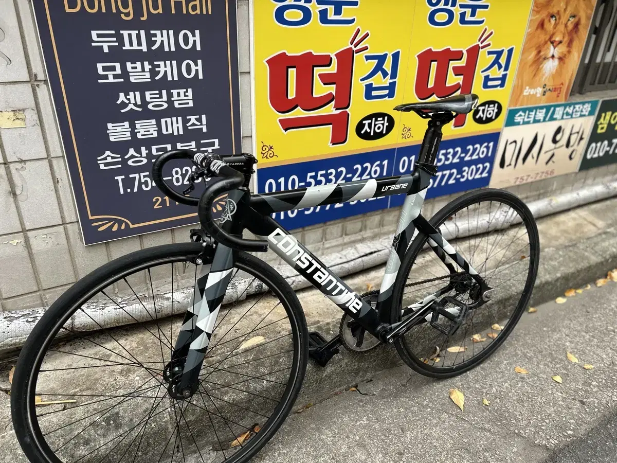 픽시 콘스탄틴 어베인 패턴그레이 21년식