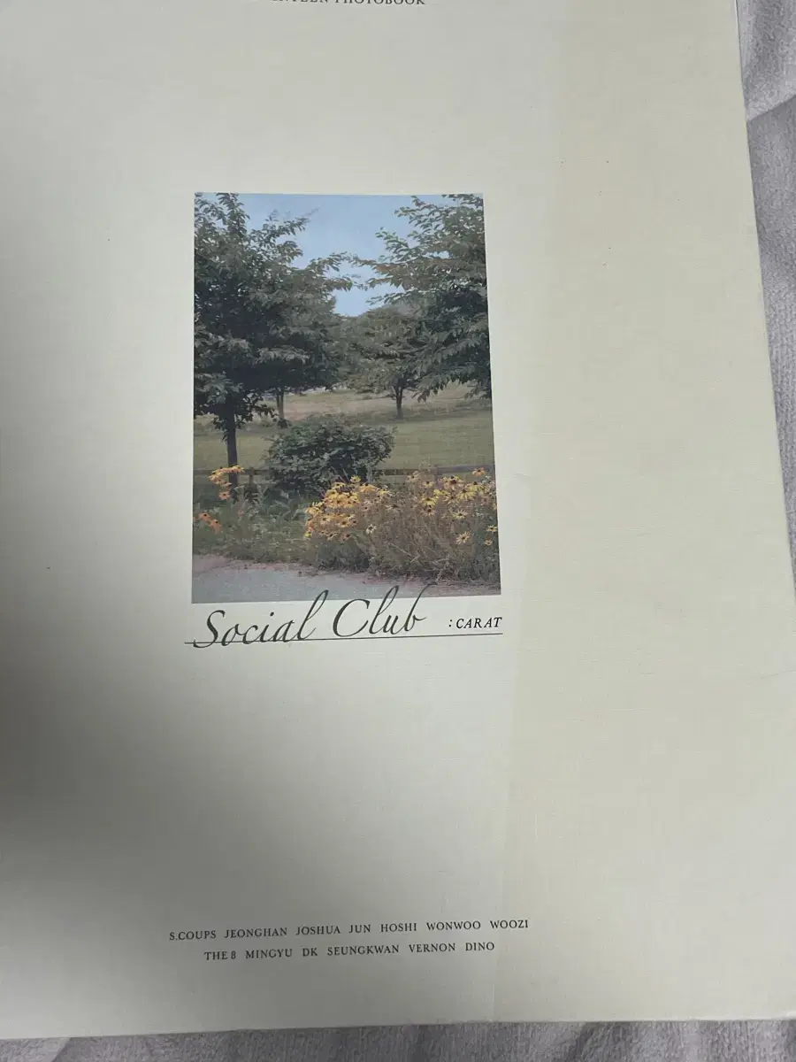 SEVENTEEN SOCIAL CLUB :CARAT photobook sells