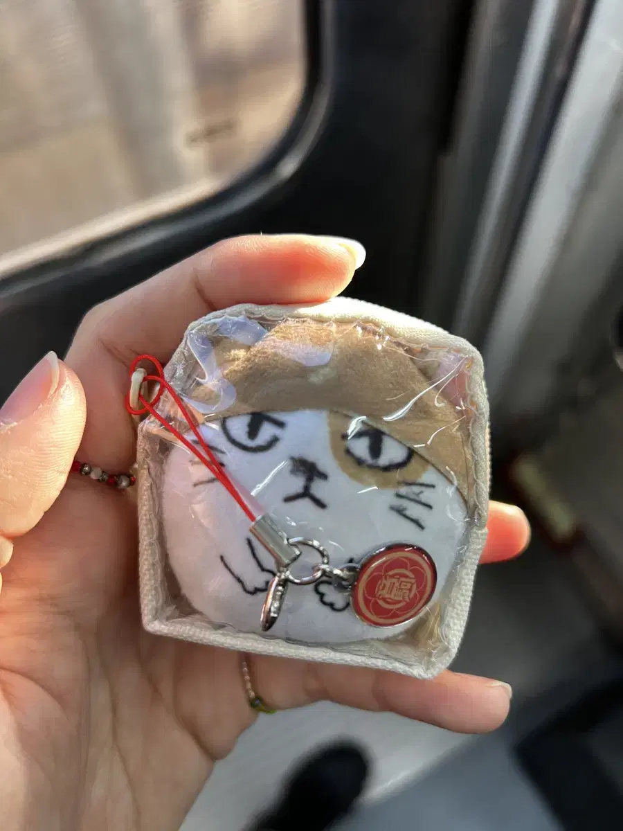 Haikyuu - Kozume Kenma Cat + Bag