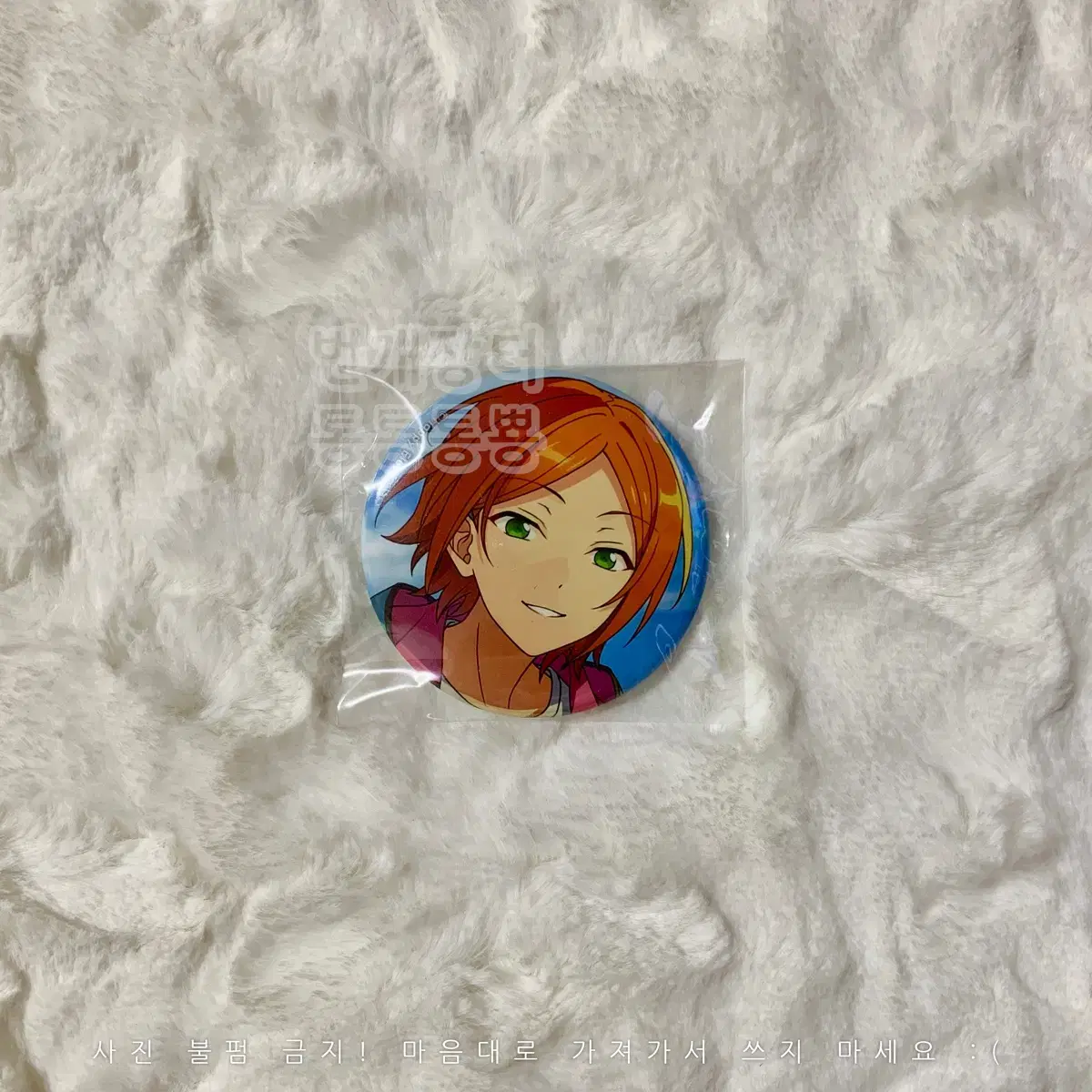 Angsta Ibekore Canbadge Aoi Yuuta Twink Theme 2021 SUMMER