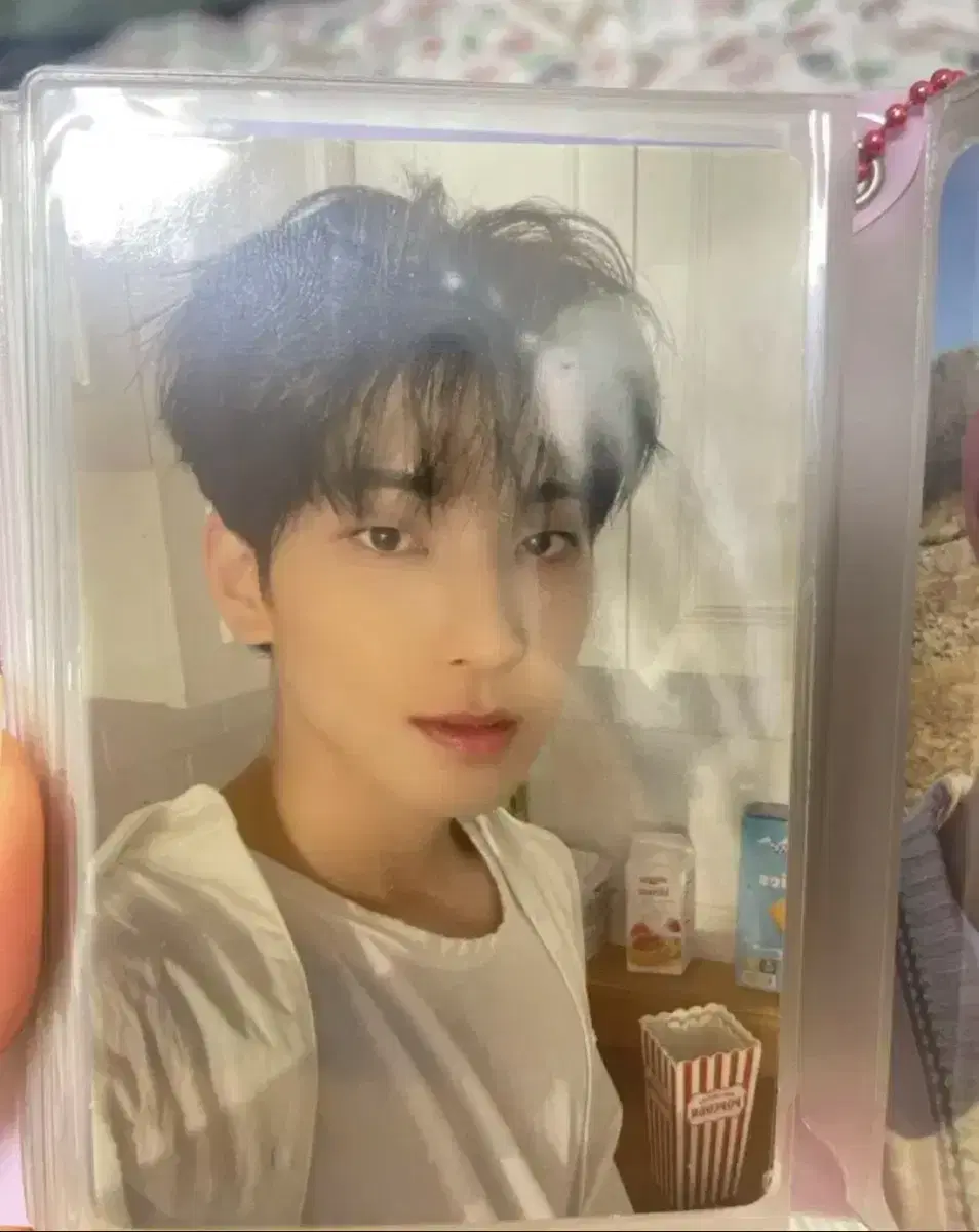 Quick sale) seventeen wonwoo Photocard