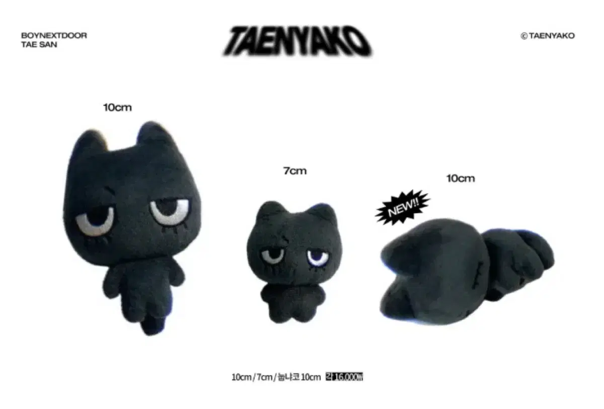 boynextdoor doll wts tanyako tingmungi sungnya 2nd