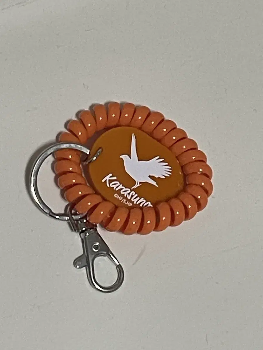 Haikyuu Locker key Edition Keychain Karasuno wts sells