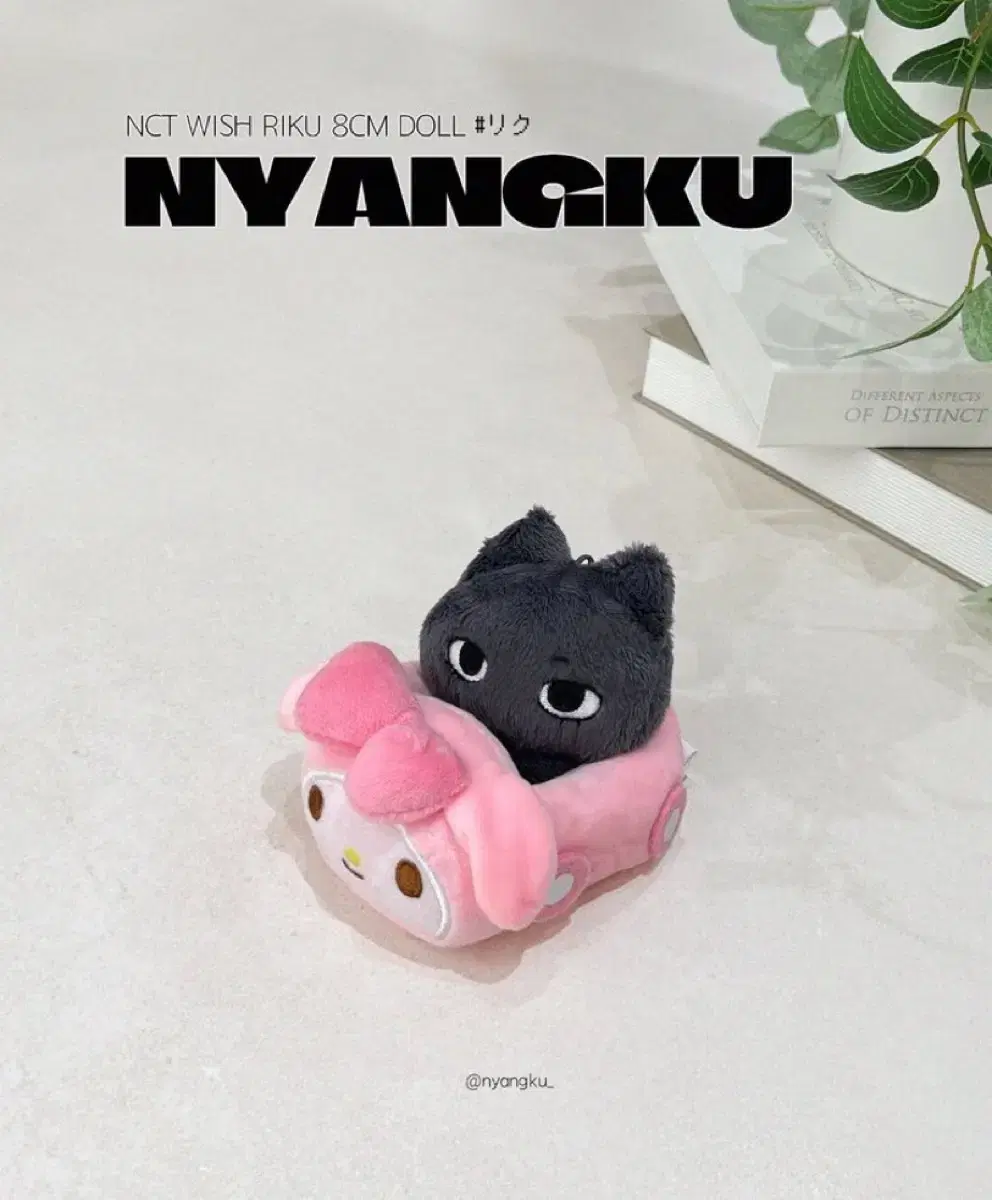 NCT wish riku doll Nanku WTS