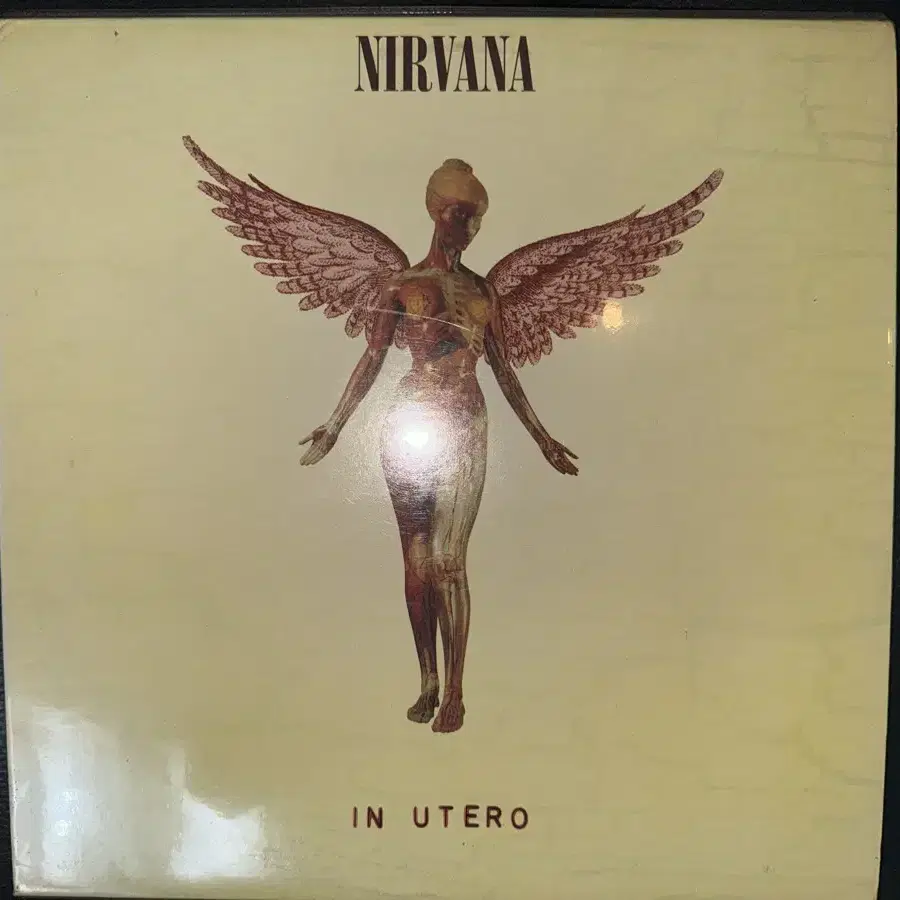 NIRVANA 너바나 IN UTERO lp 초판 팝니다