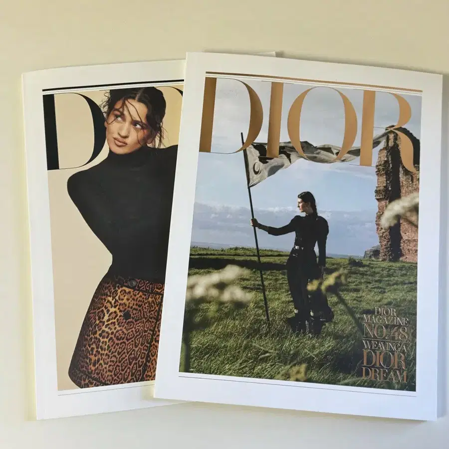 디올 잡지 (DIOR MAGAZINE)