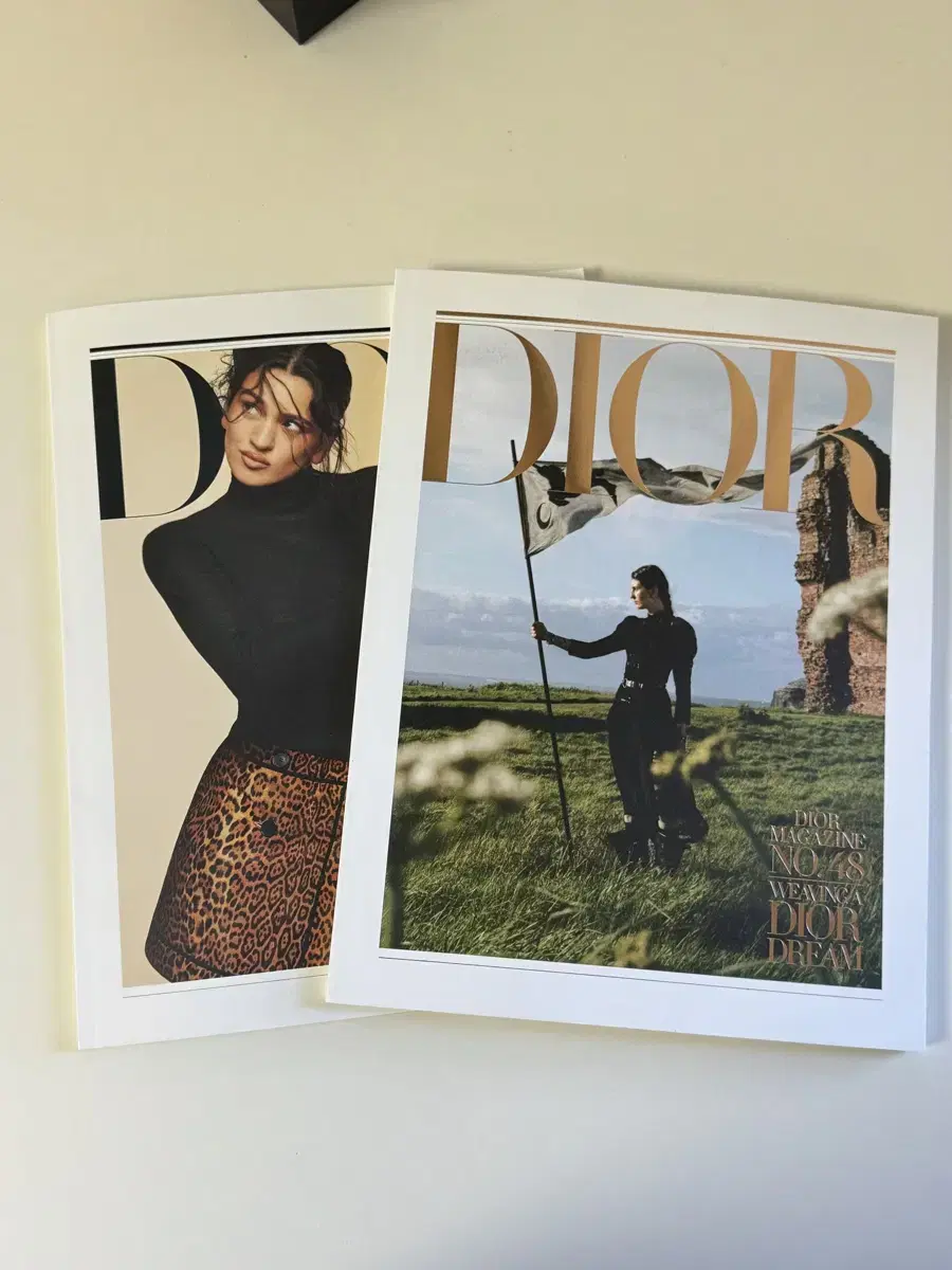 디올 잡지 (DIOR MAGAZINE)