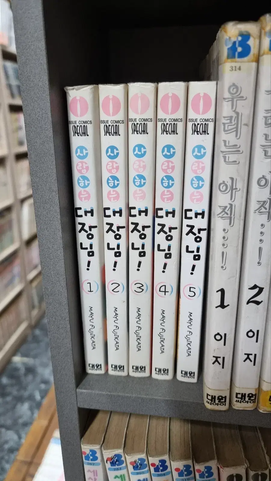 사랑하는대장님 1-5 Free Shipping Used Comics