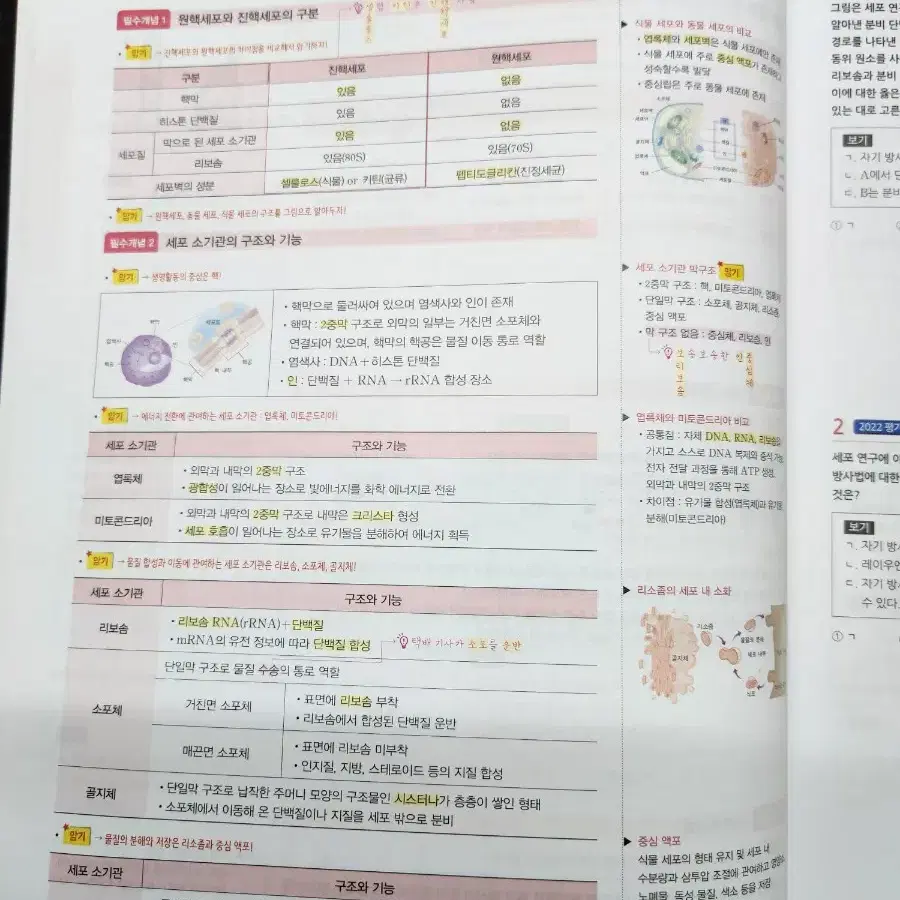 2025 마더텅 수능기출문제집 생명과학2