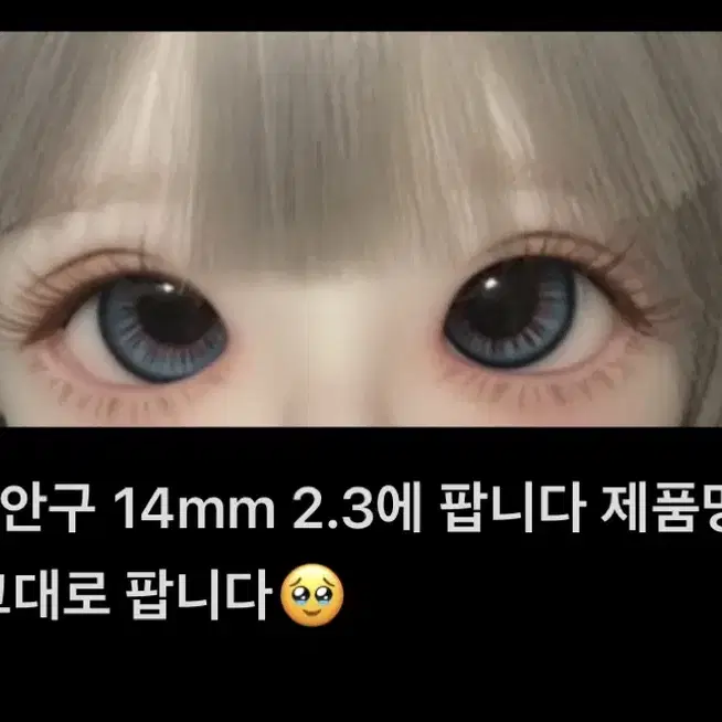 14mm 구관 마코 안구