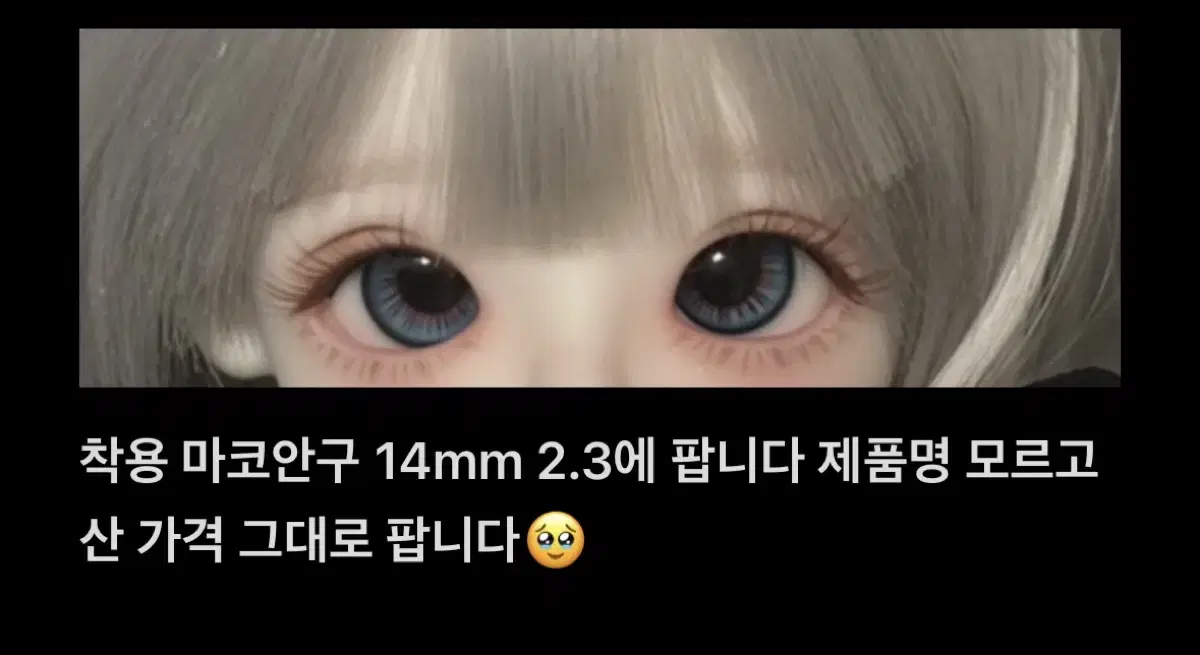 14mm 구관 마코 안구