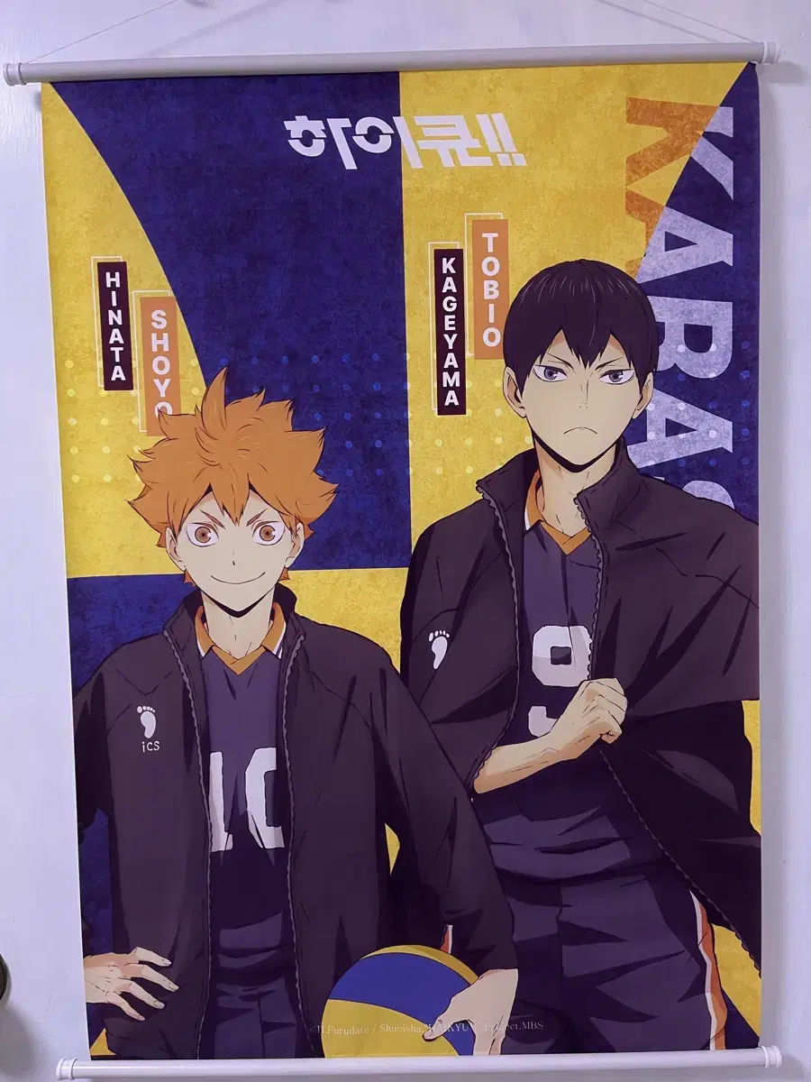 Haikyuu hinata Kageyama Tepistries