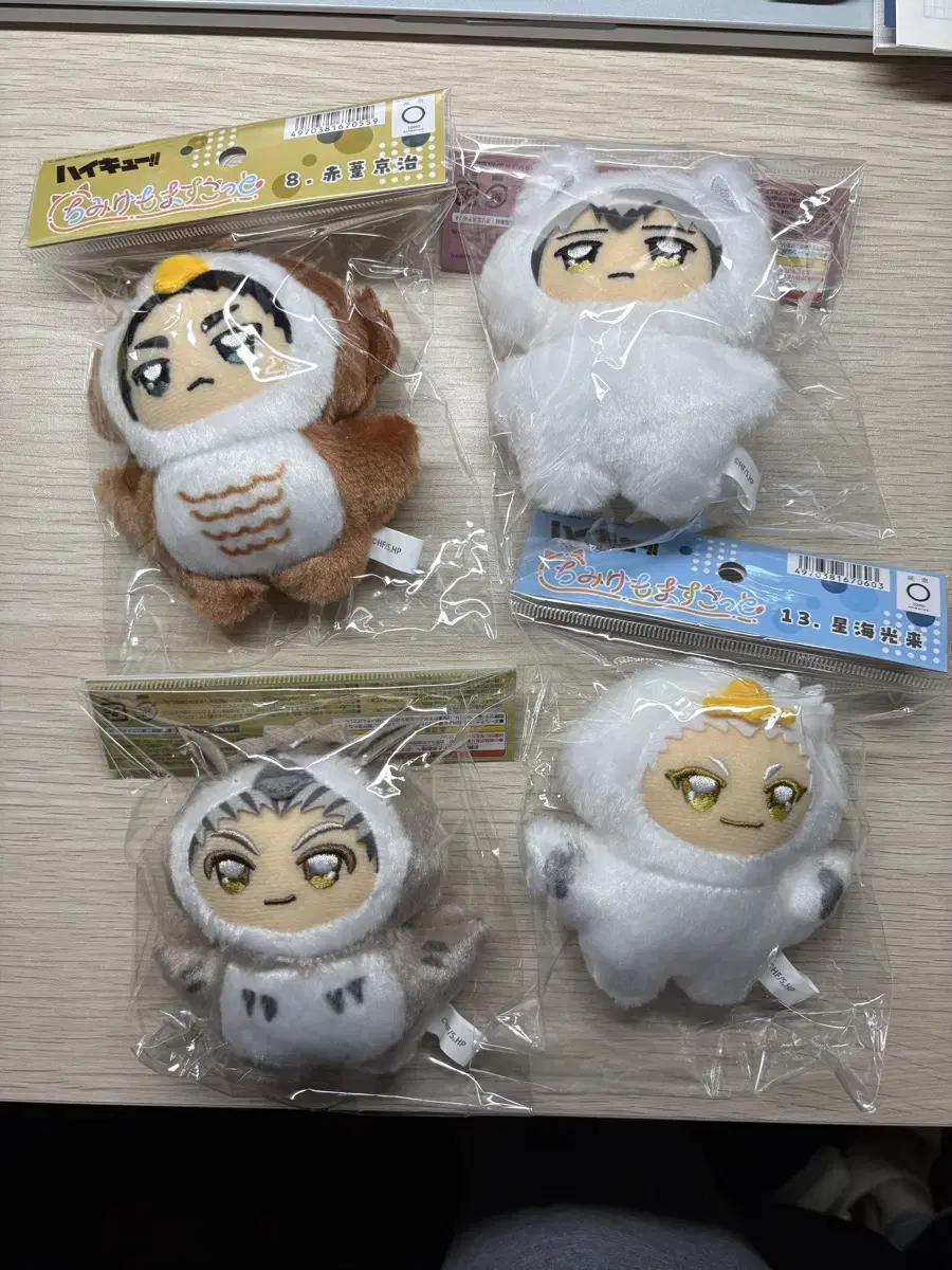 Haikyuu Chimikemo sell Kita, Hoshiumi