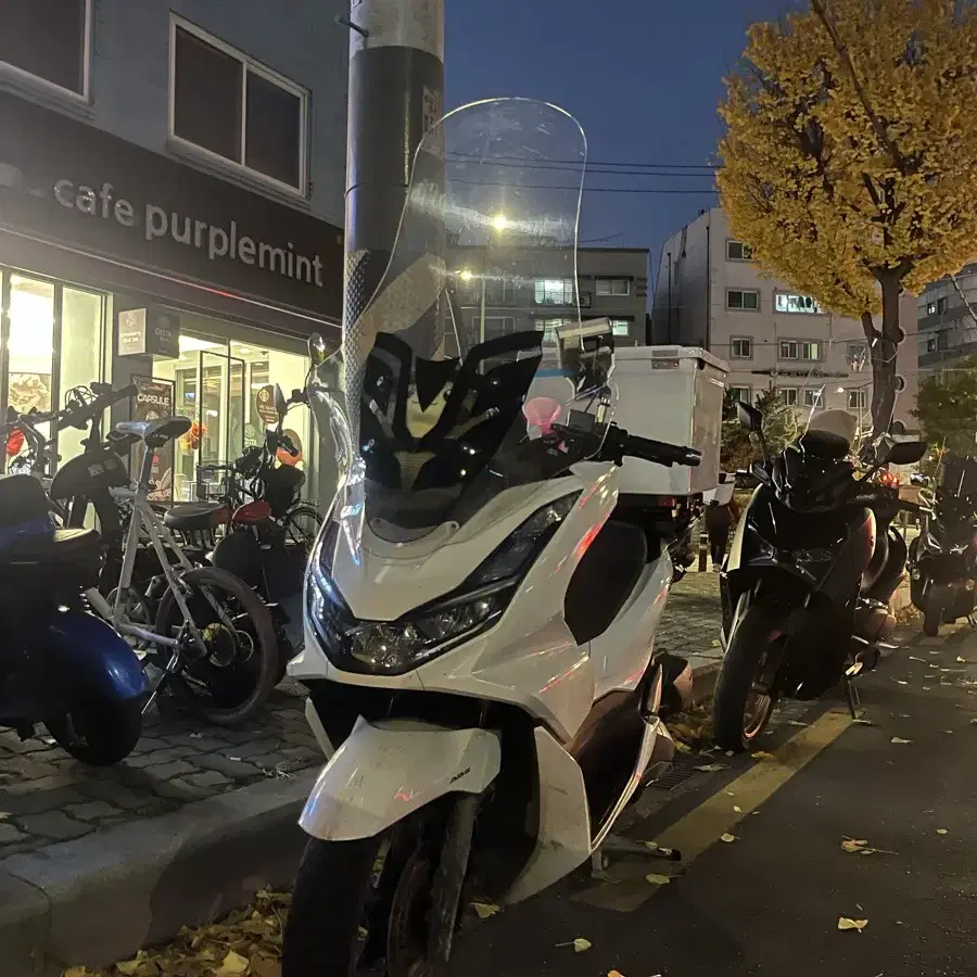 PCX125 23년식 24년형