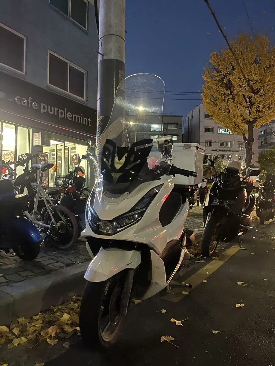 PCX125 23년식 24년형