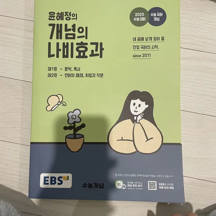 윤혜정 개념의 나비효과