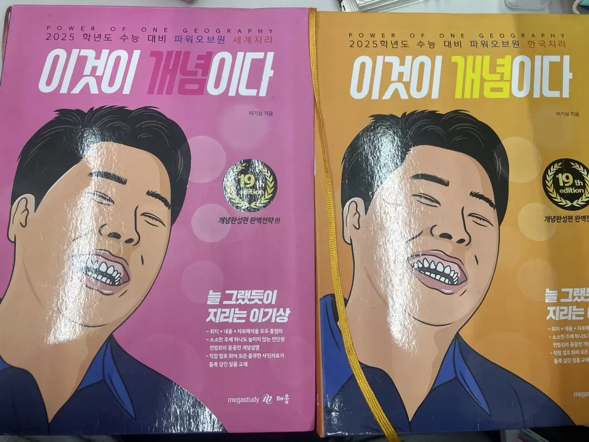 이것이 개념이다 이기상 세지 한지