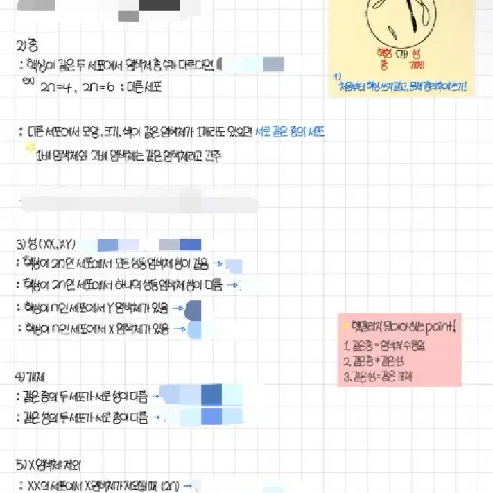 생명1 유전 노트 필기 팝니다.