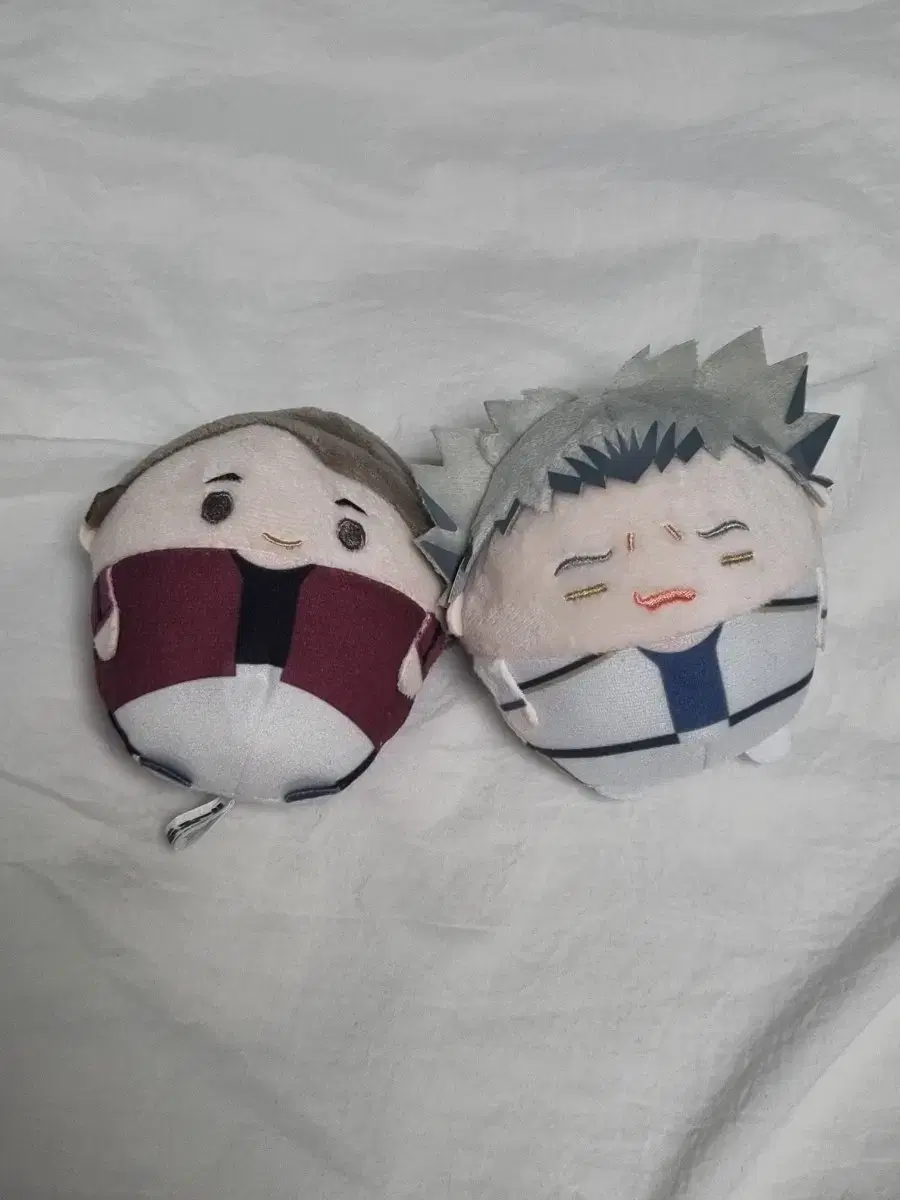 Bokuto special Fuwakororing S Osamu Fuwakororing S WTS